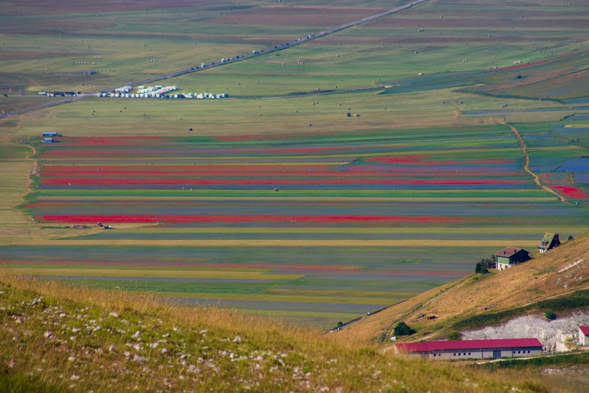 Foto di Damiano Lingauri | Unsplash Licence Umbria: cascata di colori per la fioritura delle lenticchie